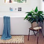 plants for bathroom