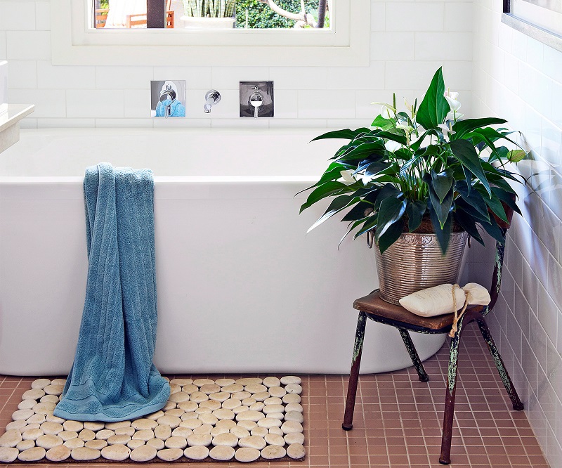 plants for bathroom