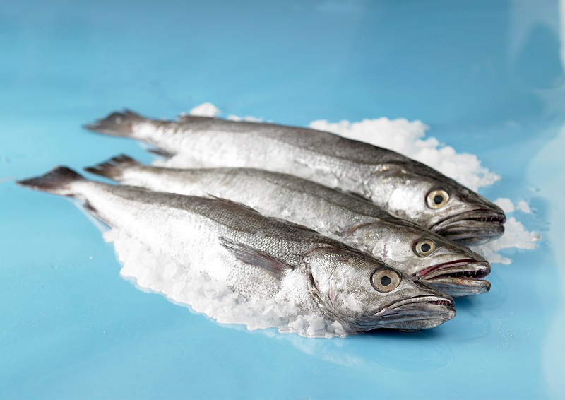 Hake types of fish