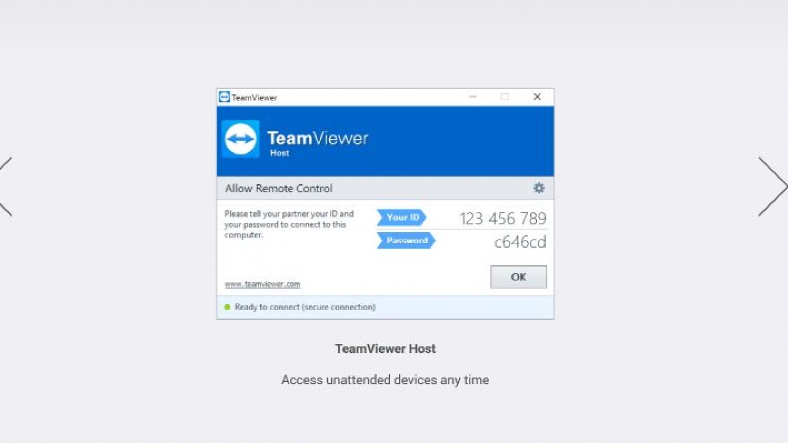 TeamViewer alternative