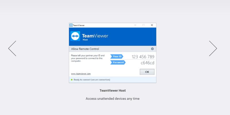 TeamViewer alternative