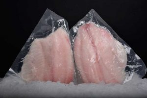 How to keep fish fresh