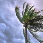 Preparing Your Florida Waterfront Property for Hurricane Season