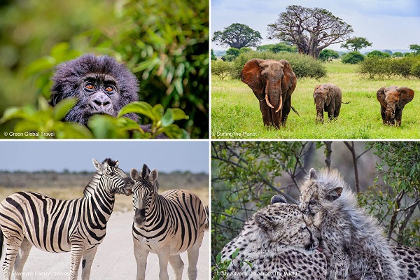 best safaris in the world