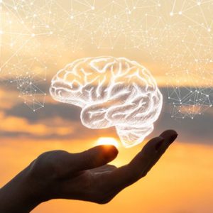 What is the best natural brain booster